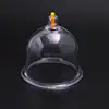 Cupping device, No. 2 cans, household exhausting vacuum thickening magnetic therapy beauty care 6 pcs/group 2