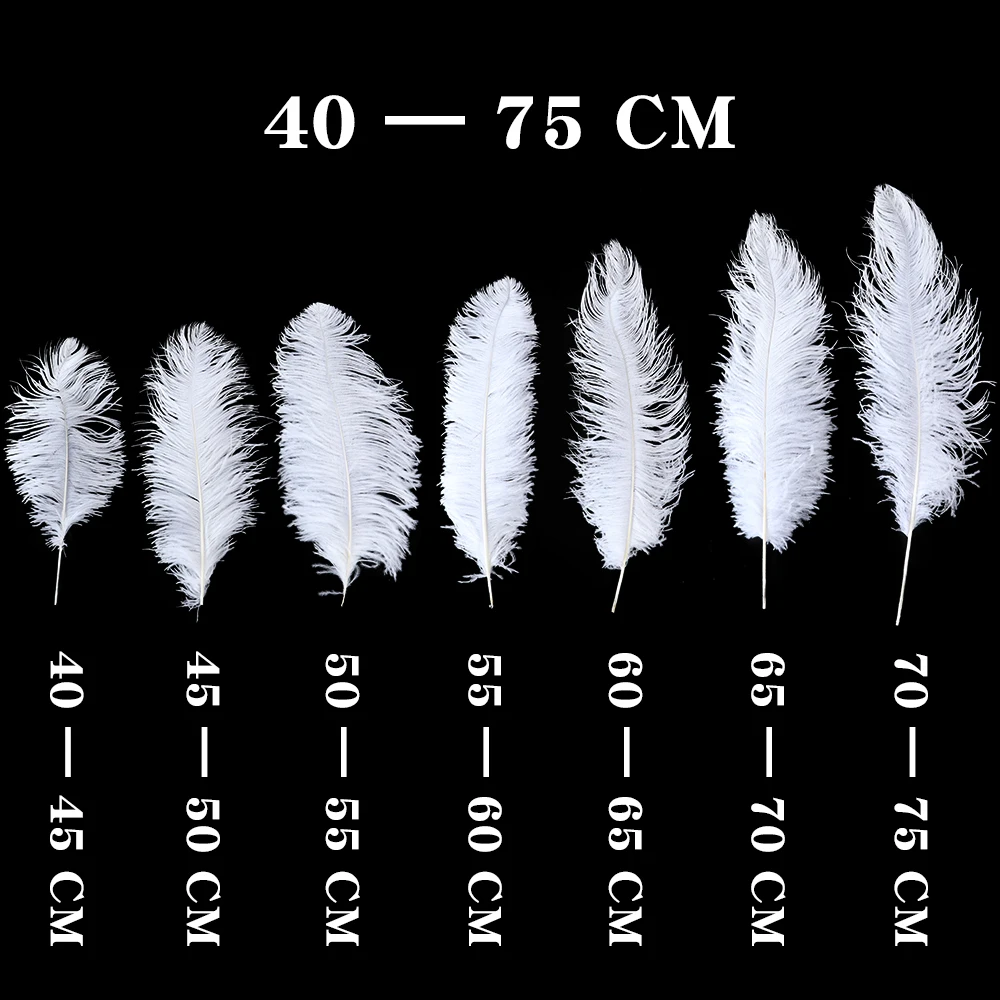 10Pcs White Ostrich Feathers Centerpieces for Wedding Table Large Natural  Feather Carnival Accessories Pluma for Vase