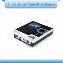 W181 8 видов языковых облачных услуг 2," экран биометрический отпечаток пальца посещаемость времени USB офисный регистратор времени+ 10 шт. RFID
