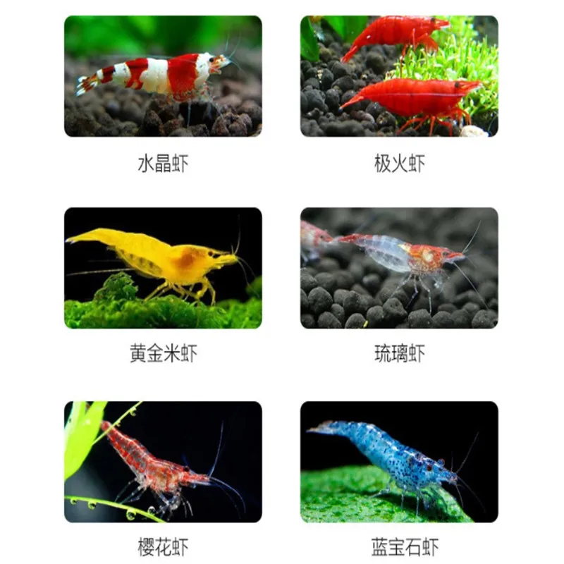 搜狗截图19年09月23日2127_3