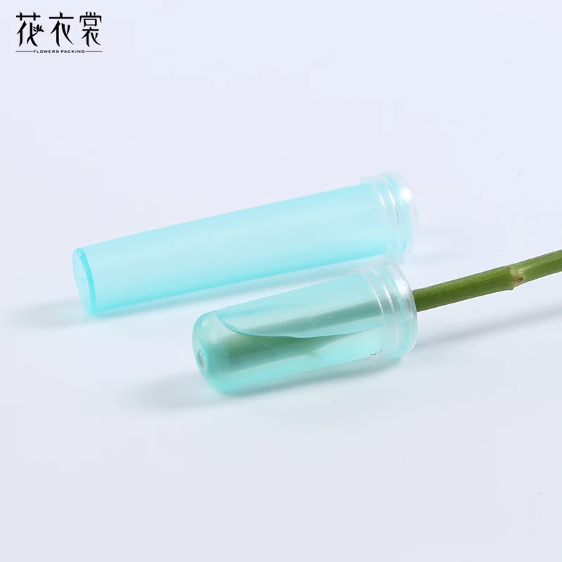 Floral Water Tubes/Vials for Flower Arrangements by Royal Imports | Дом и сад