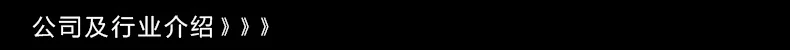 Company Introduction