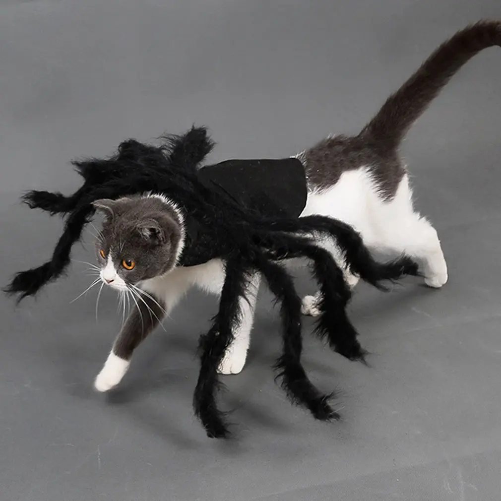 

Halloween Pet Dress Up Spider Wing Cosplay Clothes For Puppies Cats Costumes Cute Dress Funny Outfit Simulation Black Spider