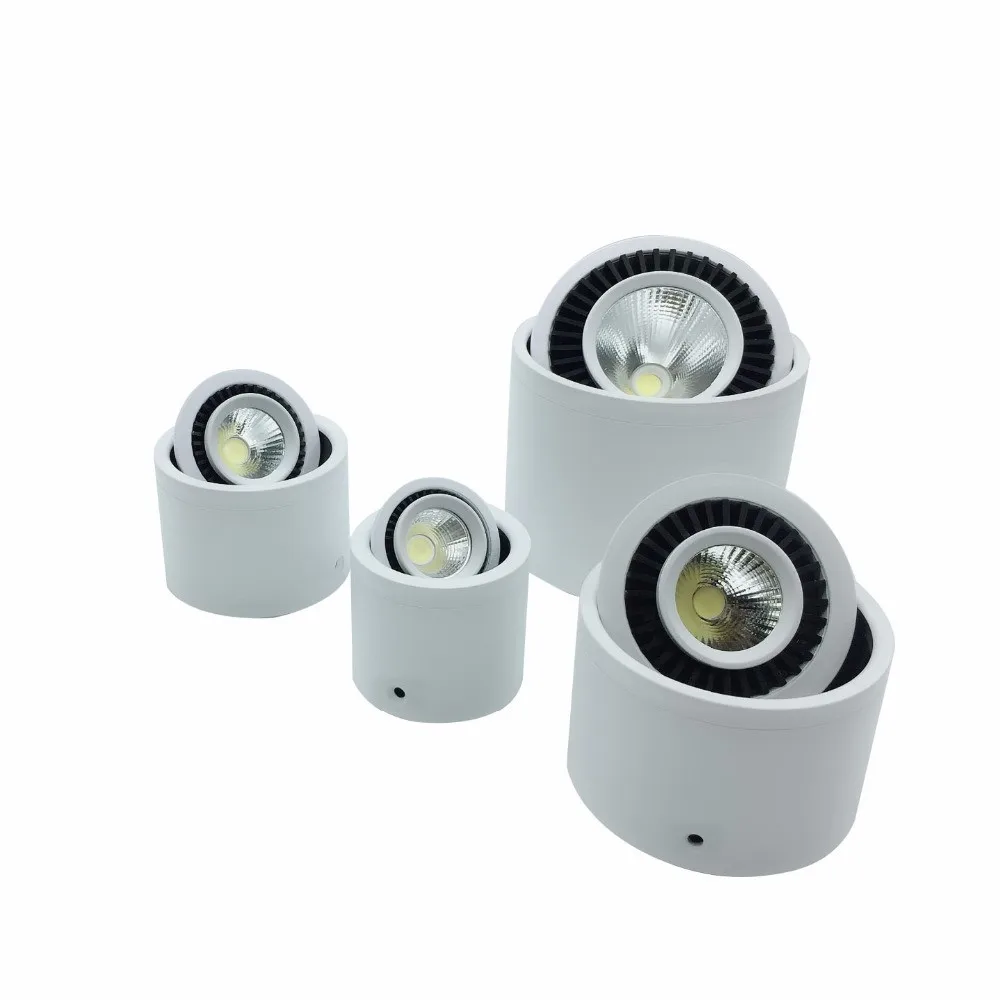 Surface Mounted LED Downlight 13