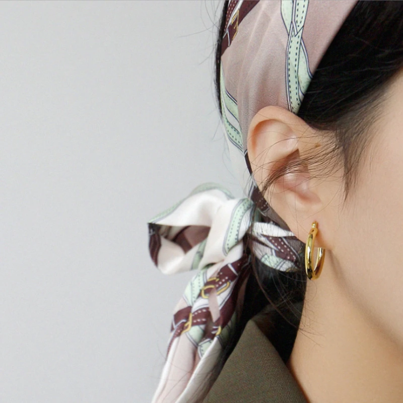 Gold Hoops F.I.N.S серьги из стерлингового серебра S925, минималистичное ювелирное изделие, двухцветные круглые маленькие серьги-кольца, геометрические модные ювелирные изделия - Окраска металла: Gold Hoops