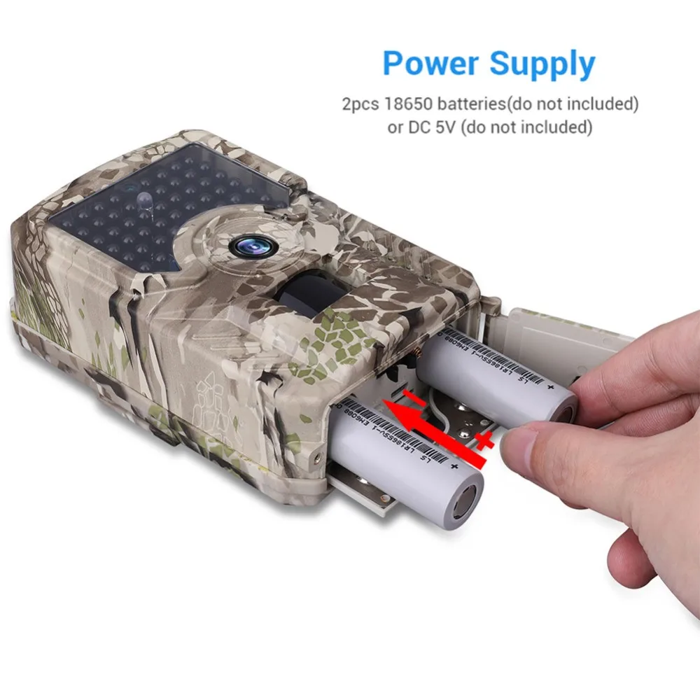 307502_no-logo_307502-3-05-g