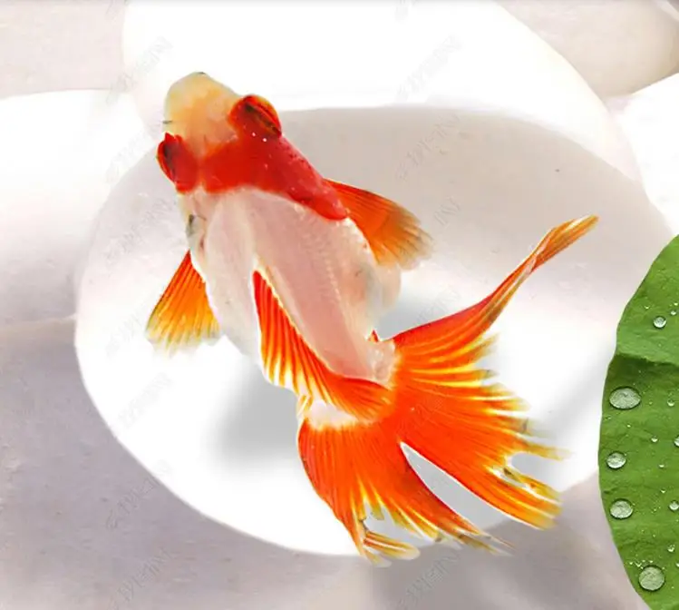 360截图20200429163116637