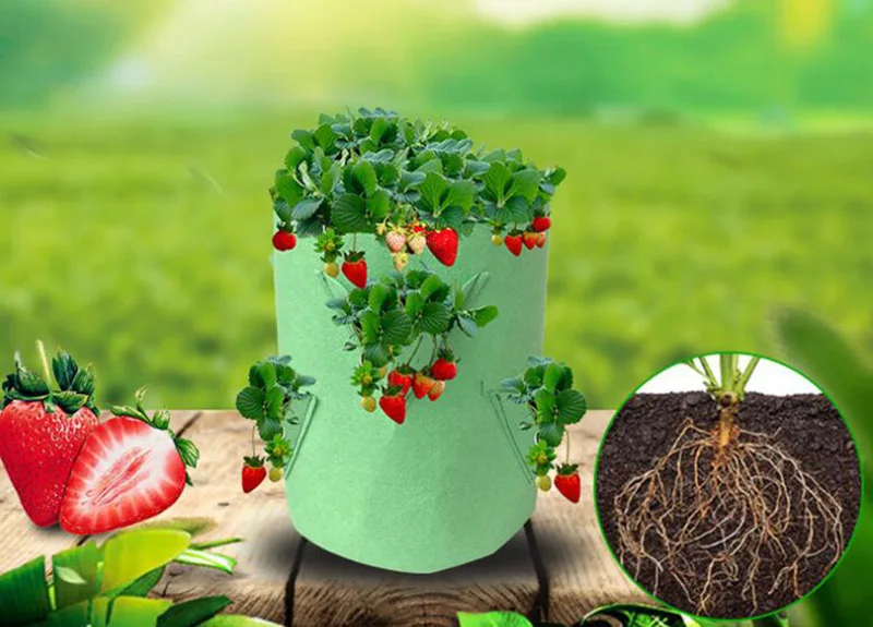 QQ截图20200505161956