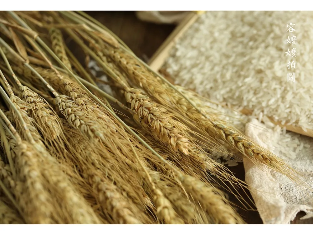 TB2frqSa.yfF1Jjy0FiXXaCmFXa_!!1917429240