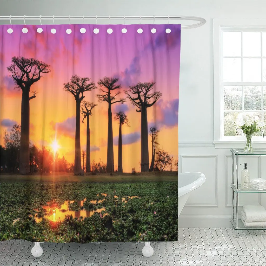 Beautiful Baobab Trees At Sunset The Avenue Of Shower Curtain Waterproof Polyester Fabric 60 X 72 Inches Set With Hooks