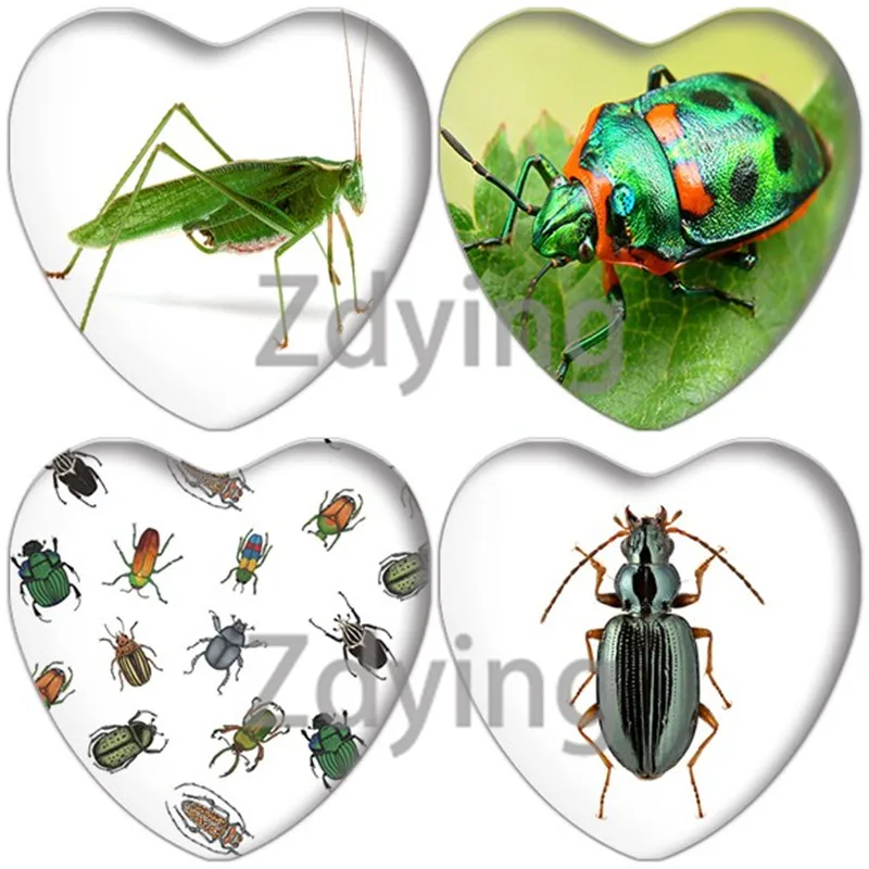 Zdying 10 шт. насекомых ошибок с узором сердце Форма Стекло кабошон фото бусины
