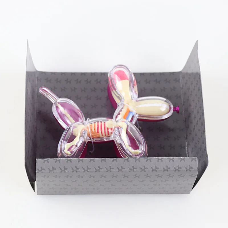 4dマスタービジョンおもちゃ、透明なアセンブリバルーンドッグ、解剖学