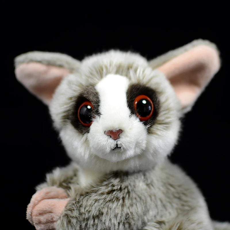 Милый Galago Senegalensis плюшевая игрушка Северный Малый Galago liquife мягкая имитационная кукла настоящая жизнь животные подарок для детей