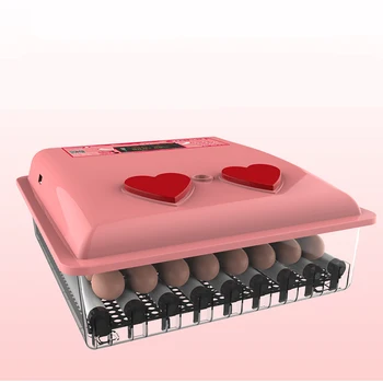 

Small Incubator Household Type Intelligent Chicken Duck Goose Pigeon Hatching Box Machineincubadora couveuse