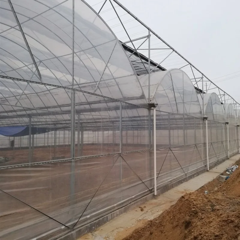 Agricultural Green Houses Tunnel Greenhouse