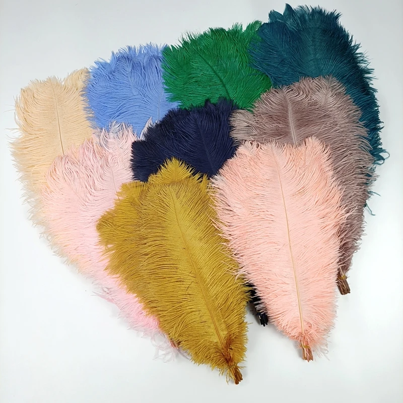 Wholesale 10Pcs/Lot New Colorful Ostrich Feathers White Black Feather Decor Plumes Vases Party Wedding Accessories Decoration