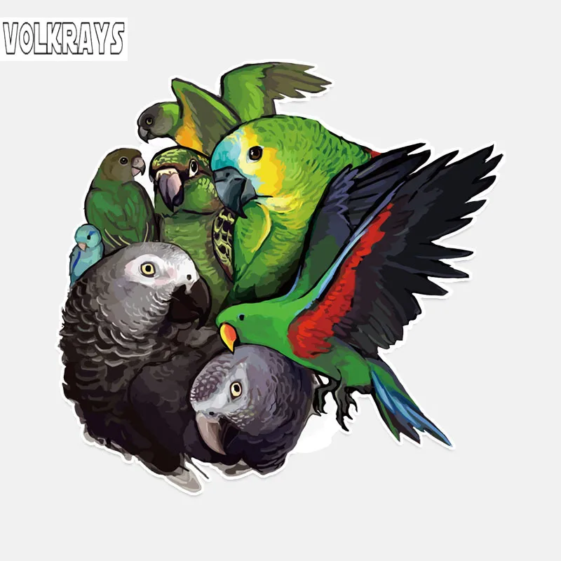 Tanie Volkrays osobowość naklejki samochodowe papuga Decor kolorowe akcesoria wysokiej jakości