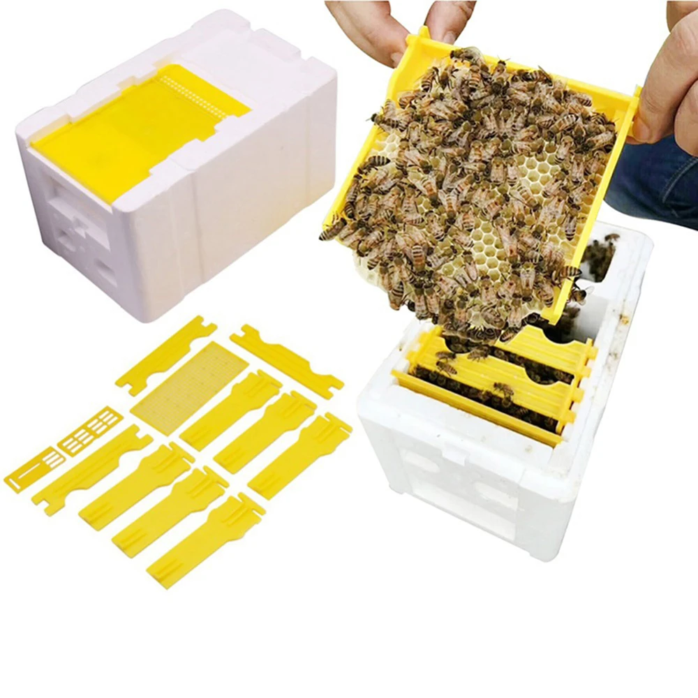Garden Bee Hive Beekeeping King Box Pollination Box Foam Frames Beekeeping Tool 