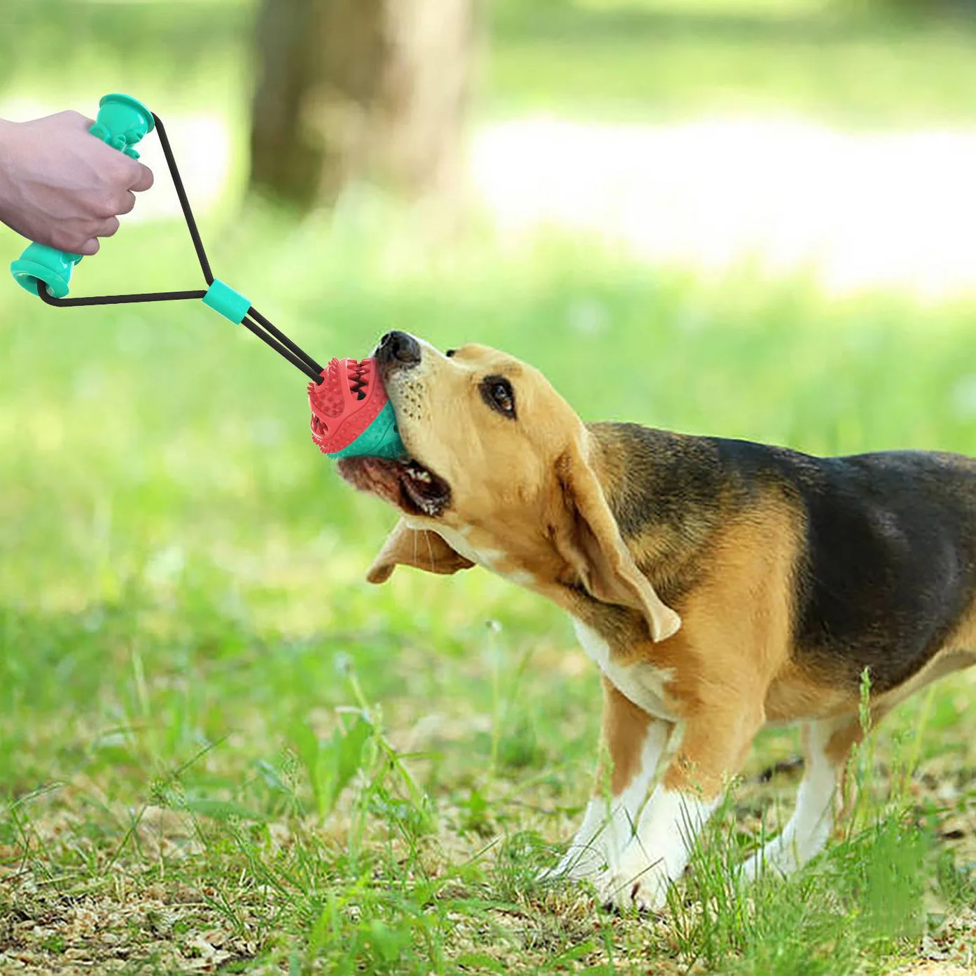 Teeth Rubber Bite Funny Puppy Training Ball Chew Toys Play Go Get Elastic Ropes Pet Tooth Cleaning Iq Exercise |