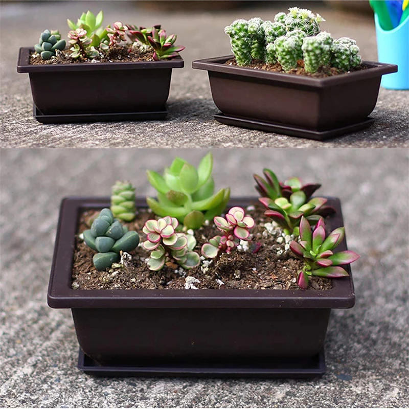 Pot de fleur,Pots de formation en plastique Imitation bonsaï, avec