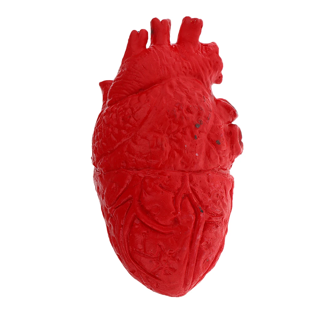 HUMAN HEART--Chop Shop Body Part Organ Halloween Horror Prop Decorations