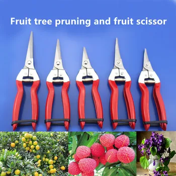 

Garden Pruning Shear High Carbon Steel Scissors Fruit Tree Flowers Branch Pruner Trimmer Garden Tools Grafting Bonsai Tool