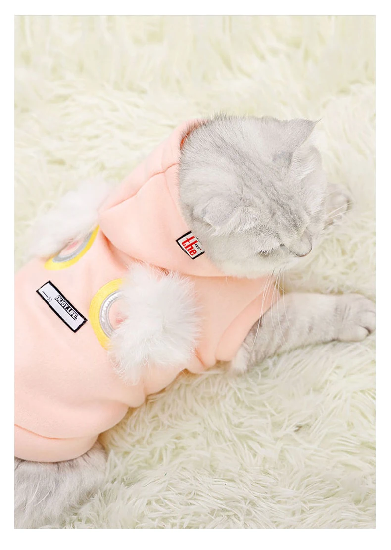 详情_O1CN01cjtp4Q24Nd7MPA7Uc___704407379