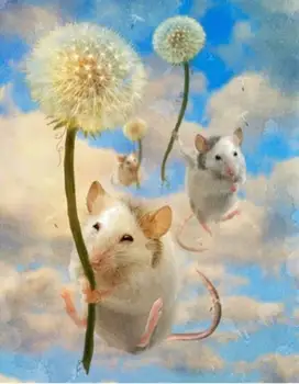 

New mosaic Full Round Diamond embroidery Mouse Flying Dandelion Full Square diamond painting cross stitch Pigs animals oil beads