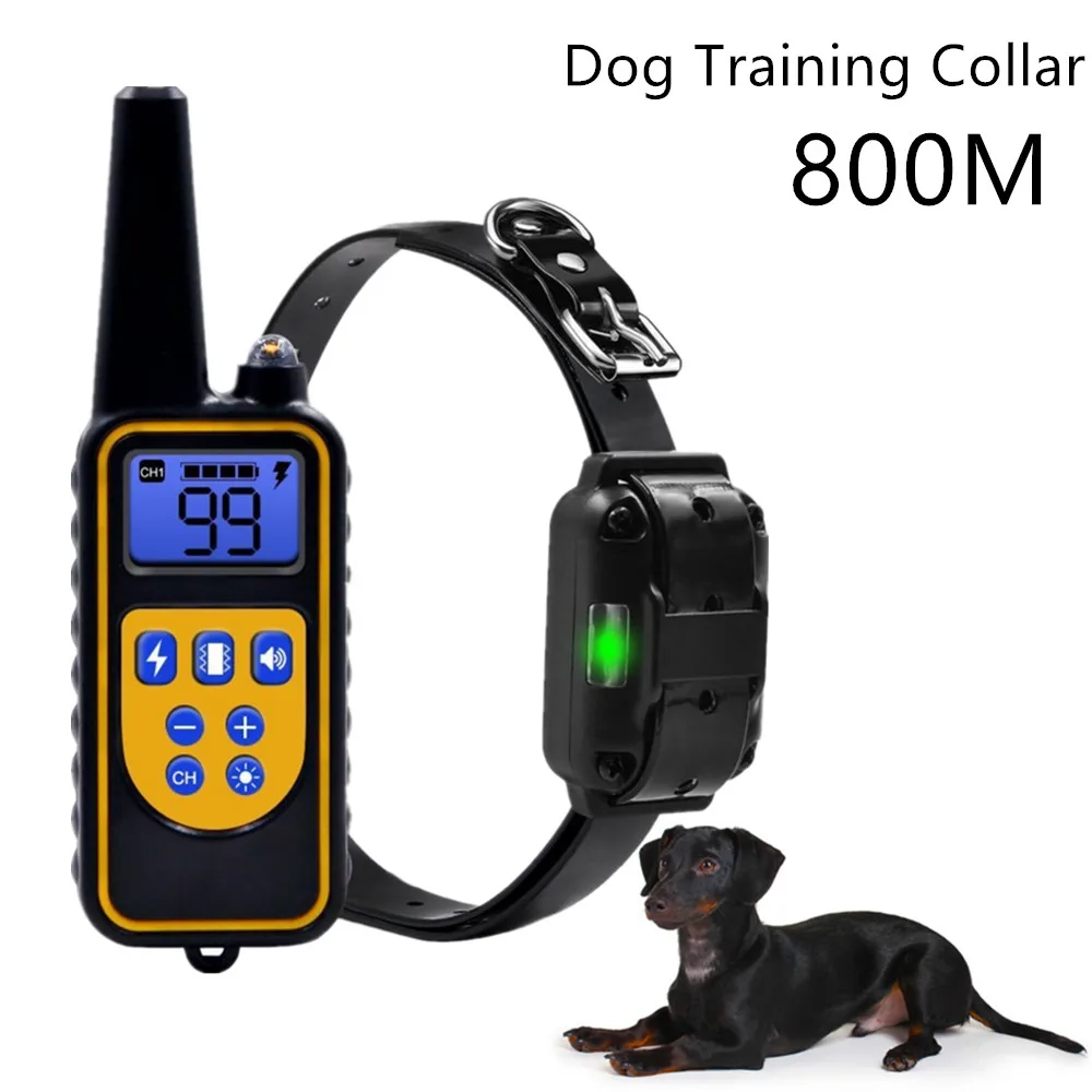 shock collar for dachshund