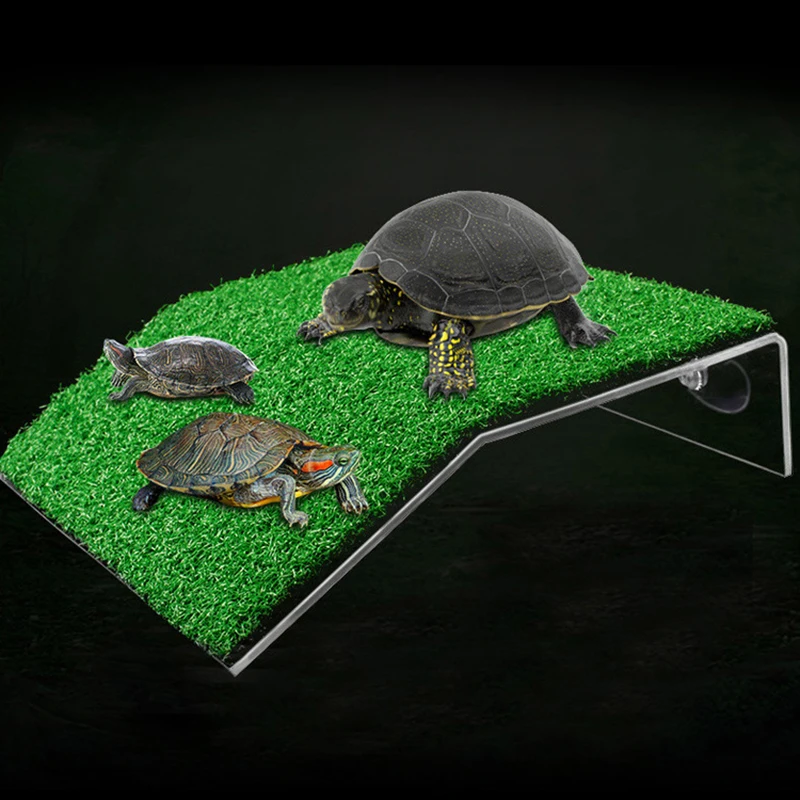 Tortoise Terrace Rest Pier Small Reptile Swimming Decoration | Дом и сад