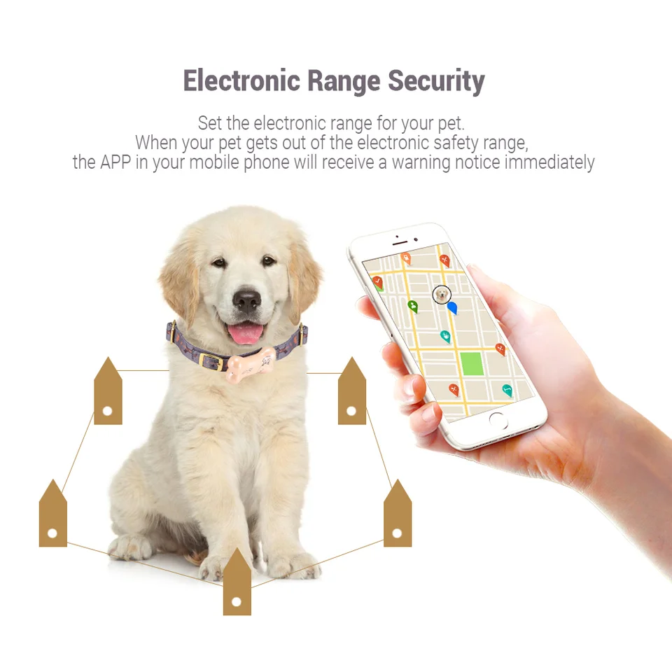 wifi training collar