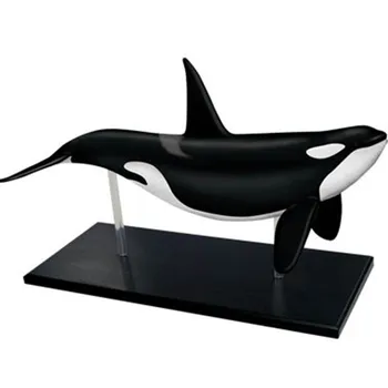 

Statue Toys Whale organs Internal view Decomposition Organ Art statue PVC Action Figure Collection Model Toy B91