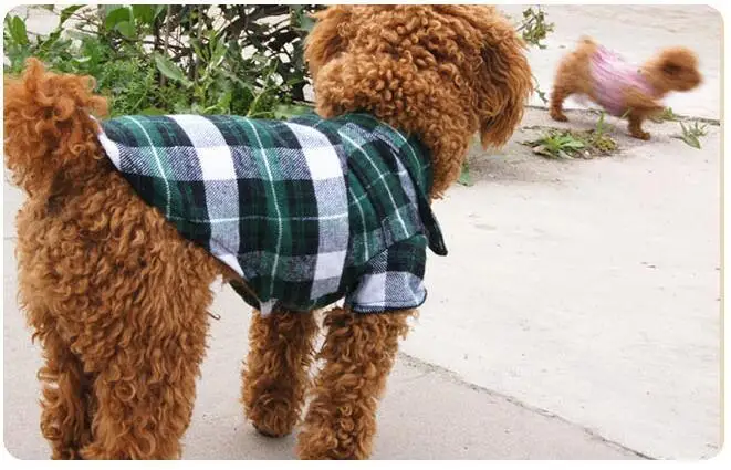 1 шт. Lytwtw's осень весна милые Kawaii клетчатые футболки для домашних животных собак с шляпой одежда