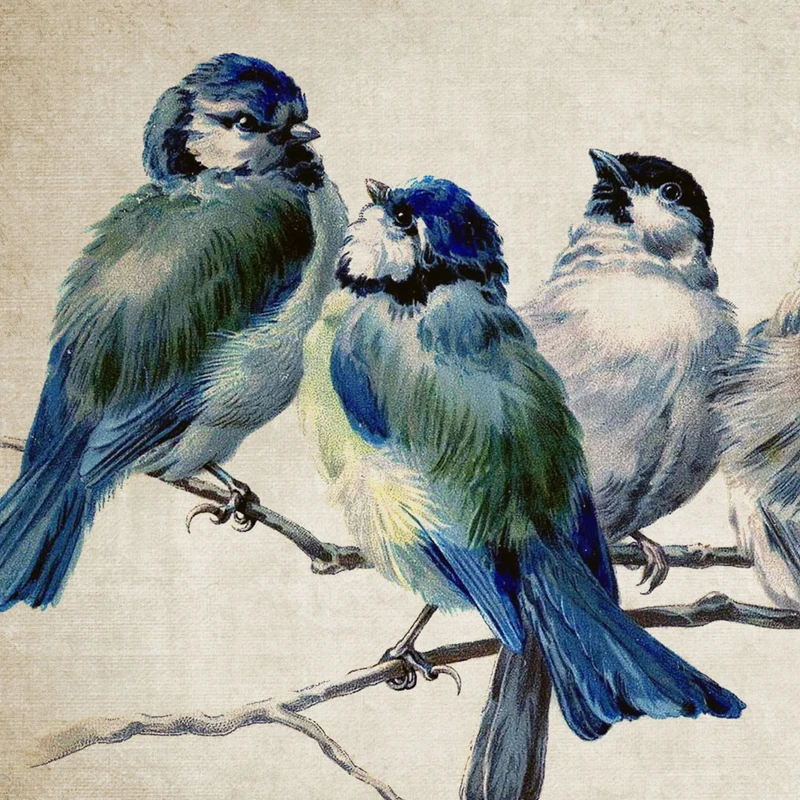 鳥アクリル画イラスト風絵画 幸福の青い鳥 ルリビタキ ココ様お