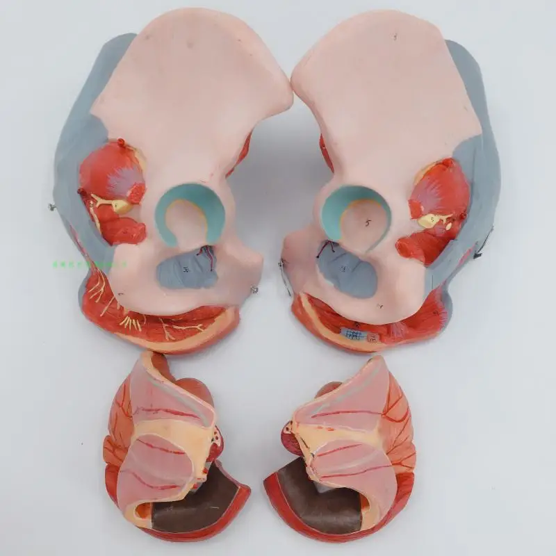 TB2YJf3vDJYBeNjy1zeXXahzVXa_!!366265571