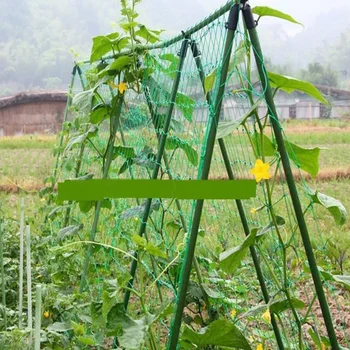 

Fruit Morning Glory Climbing Flower Climbing Net Climbing Rope Nylon Flowers Home Garden Practical Gardening Melon Plant Tools
