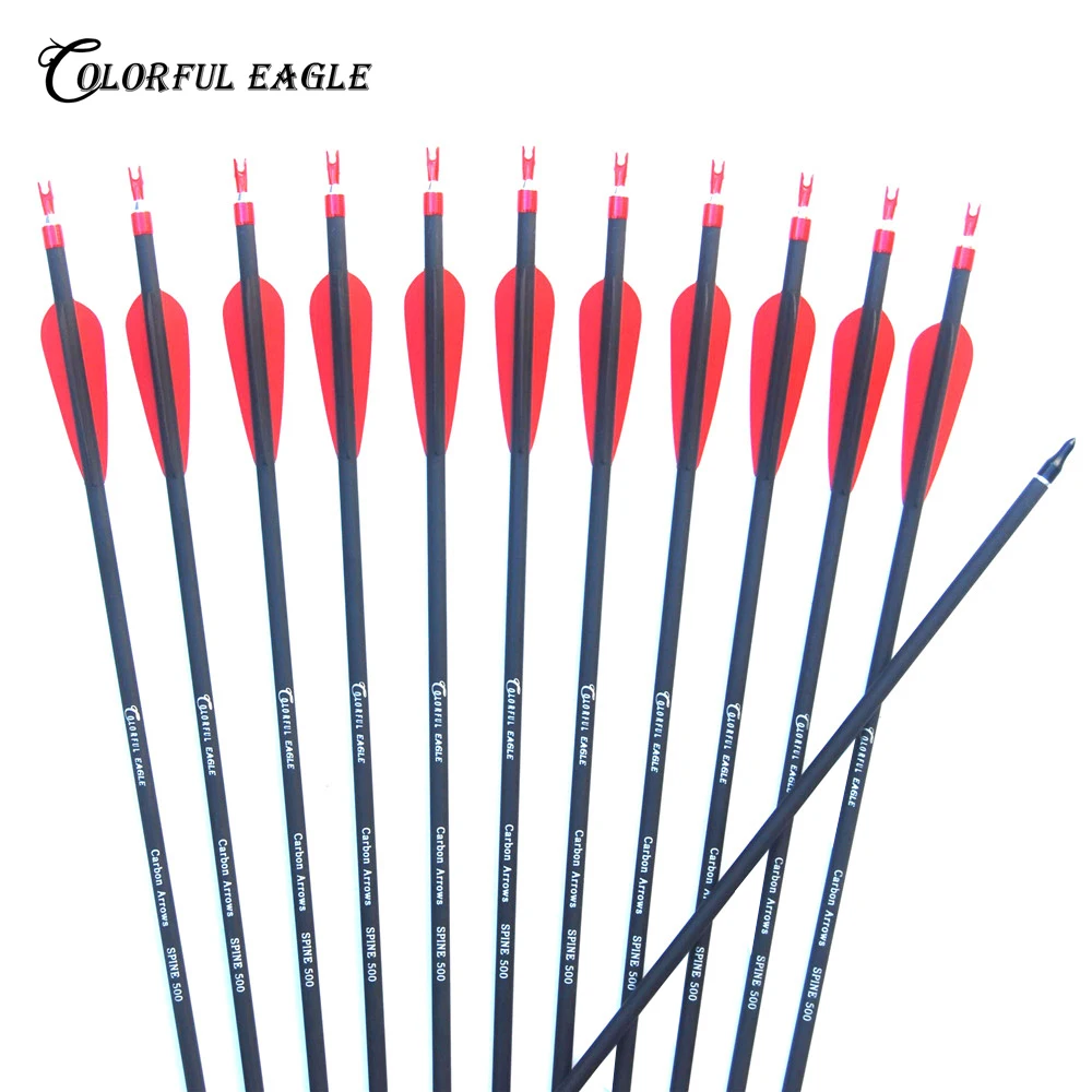 6/12/24/30PCS Carbon Arrow Archery 28/30/31 Inch Spine 500 with Replaceable Arrowhead for Compound/Recurve Bow Hunting