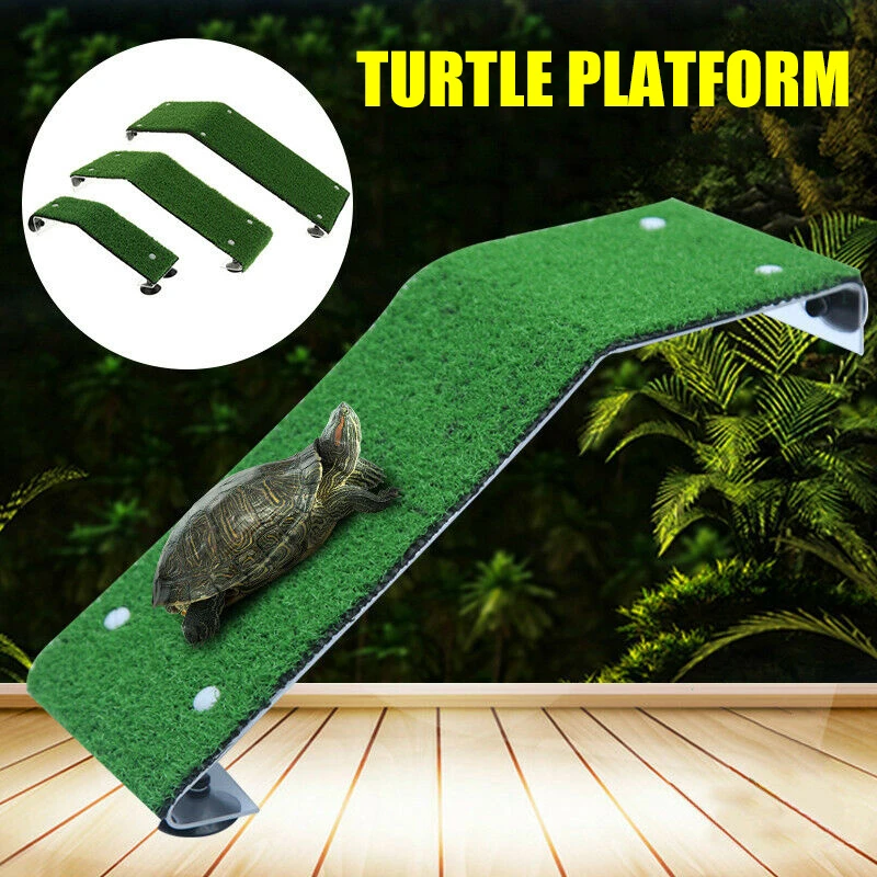 Diy Aquatic Turtle Basking Platform / Thrive Turtle Elevated Basking Loft Reptile Terrariums
