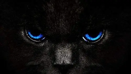 

Cat with Blue Eyes Sign/Metal SignTin Sign Wall Art 12x16 inch