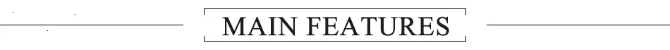 main feature