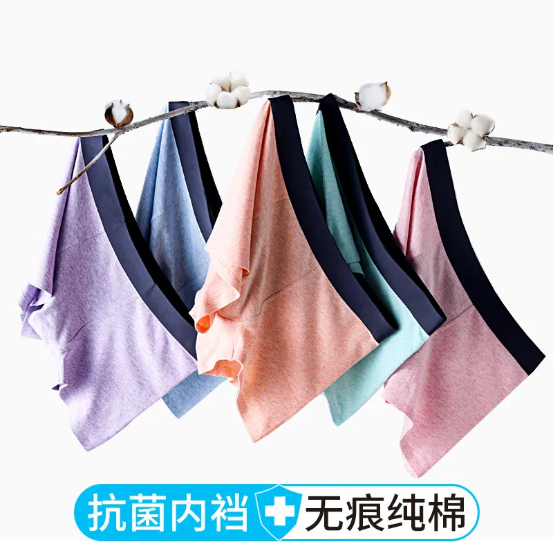 9557904513_2047742877