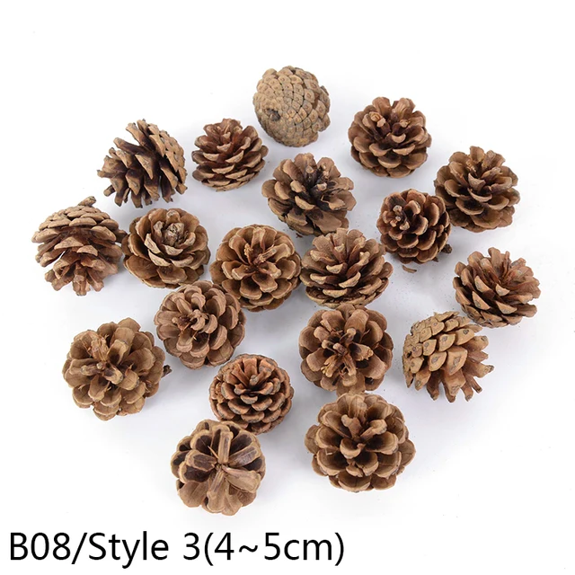 1-10pcs Natural Pine Nuts Fruit Dried Artificial Flower Pineapple Cones for Christmas DIY Garland Wreath Wedding Home Decoration B08-10pcs