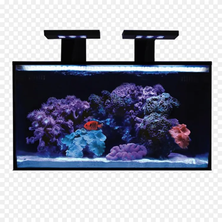珊瑚礁水族馆灯纳米水族箱加仑 光png图片素材免费下载 图片编号 Png素材网 珊瑚礁水族馆灯纳米水族箱加仑 光png图片素材免费下载 图片编号 Png素材网