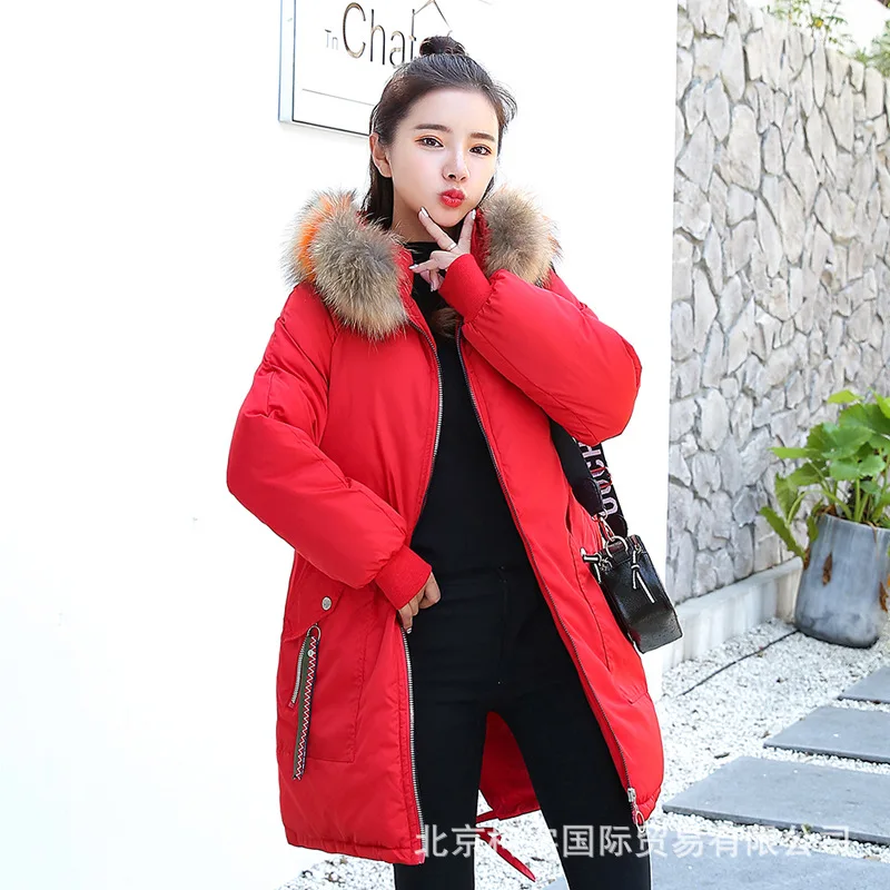 

Cotton-padded Clothes Women's Mid-length Korean-style 2019 Winter New Style Loose-Fit CHIC down Jacket Cotton-padded Clothes WOM