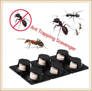 

Household Ant Agent Trapping Scavenger Made Of Sweet Eliminate Entire Ant Colony Trap Agent Garden Ant Trap Scavenger Ant Baits