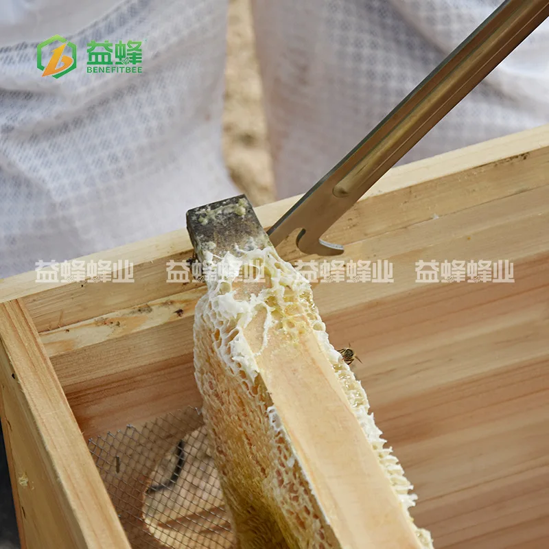 Beekeeping Tools Knife Stainless Steel Extra-Long Hive Tool with Reinforcing Rib Honeycomb Frame Honey Multi-Purpose Alice Splee