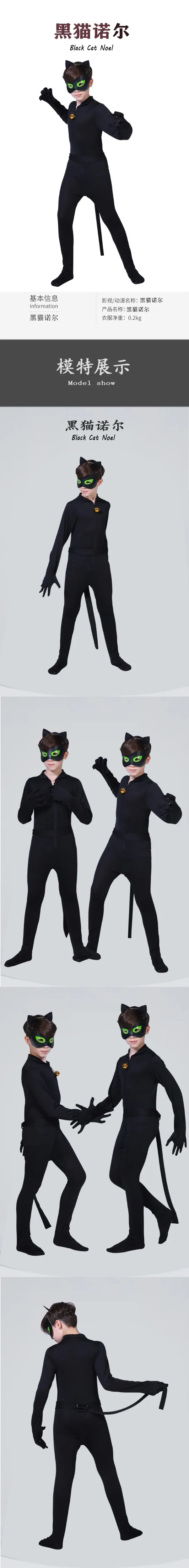 黑猫