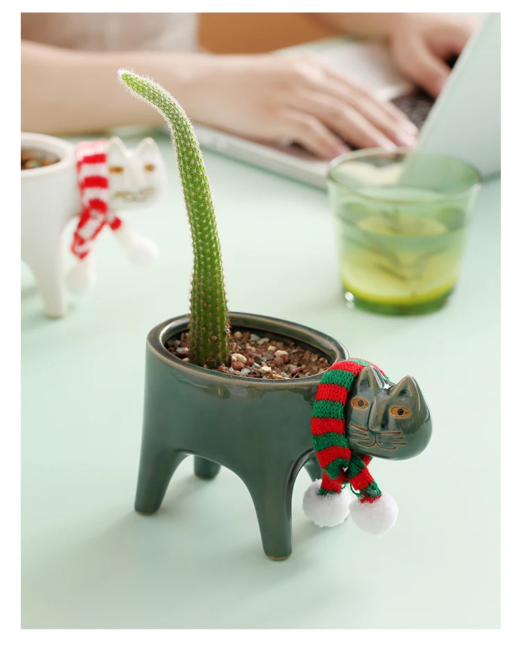 Unique Cat Planter Adds Cactus Tail!