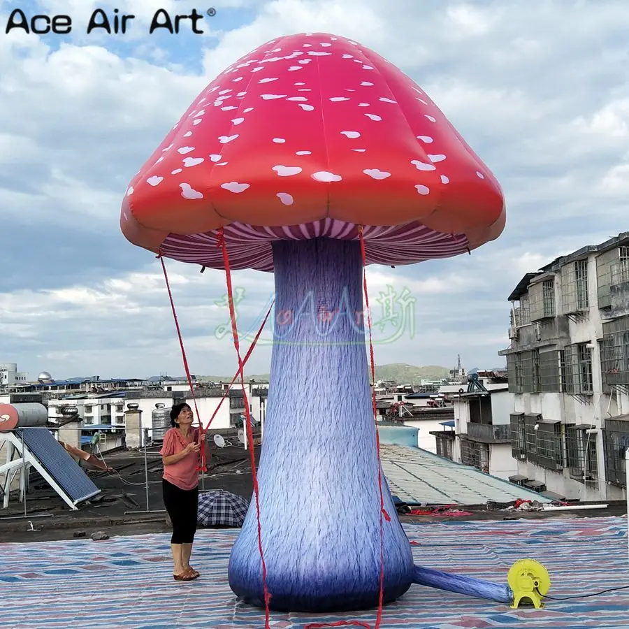 QQ图片20190625191556_副本_副本