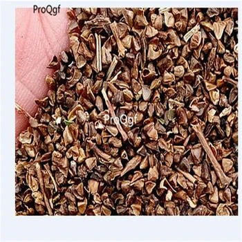 

Prodgf 3000pcs A Set Lithospermum erythrorhizon